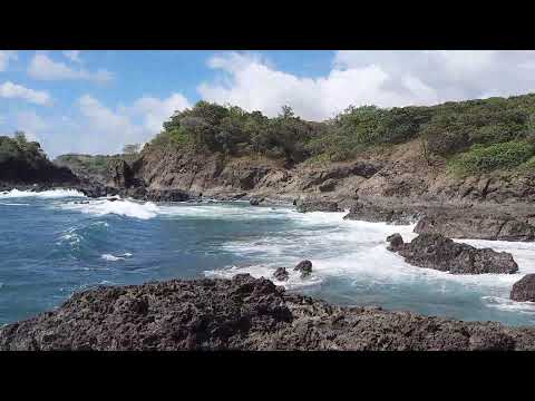 Costa Rica 2021-Valentin/Ai Takekawa-Calling