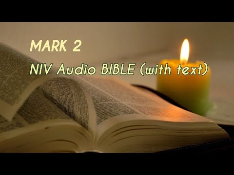 Mark 2: NIV Audio BIBLE (with text)