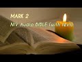 Mark 2 NIV Audio BIBLE With Text