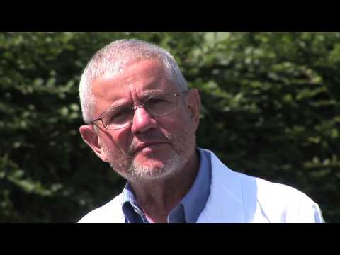 Sternrusstau an Rosen bekämpfen