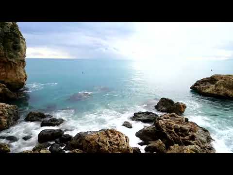 Vela Xochitl Invertir Velocidad