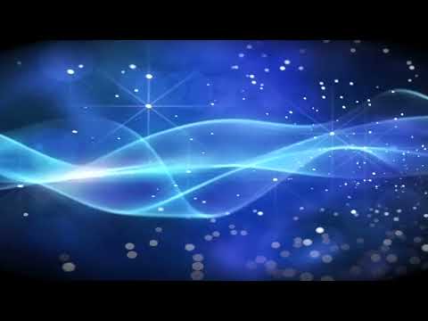 The Night - saggio 2022