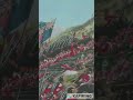 Battle of Alma : Crimea war