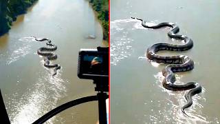 Unexplained Jungle Discoveries That Still Raise Questions