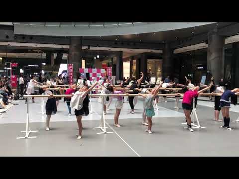 梅花1Day Campus