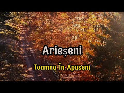 Arieseni ❌ Toamna în Apuseni