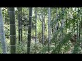 The Hill Of Legend At Zama Yatoyama Park 座間 谷戸山公園 伝説の丘 探訪