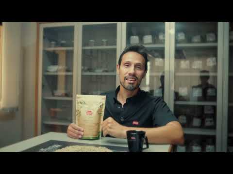 Lançamento Café Lindau