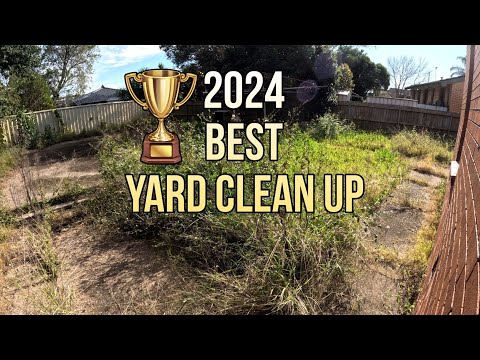 2024 Best LAWN Clean Up! Yard DISASTER RESTORED!