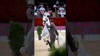 💫 Simply magical ❤️ The Spanish riding school। Amezing horses and Rider's। The Swiss team trophy 🏆
