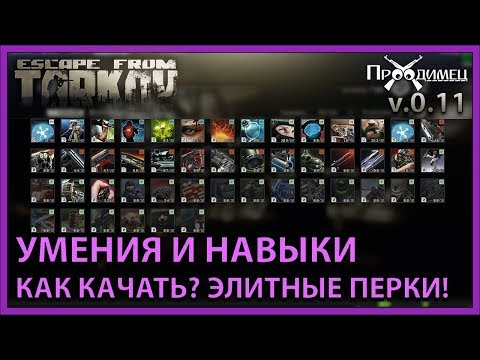 Умения и Навыки | Элитные уровни | Escape from Tarkov