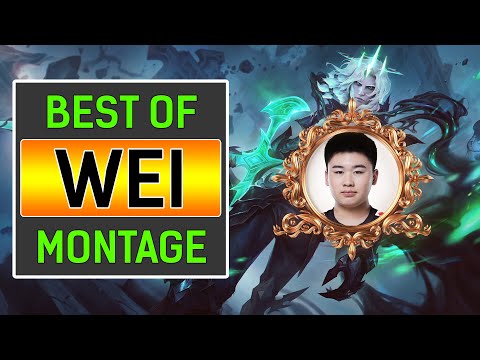 RNG Wei "Best Jungle RNG" Montage | Best of RNG Wei