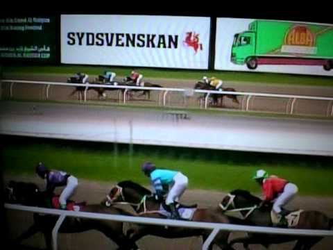 Jägersro American Days 19 Juni