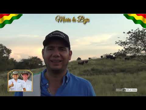 MARIA LA BAJA 2025 TODAS LAS GANADERIAS