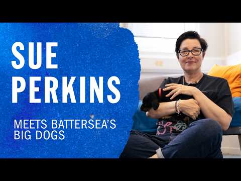Sue Perkins and Ali with Battersea big dog, Ava