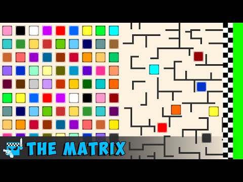 Epic Square Race: The Matrix | Square League