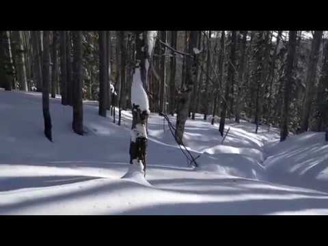 Pe traseul Gura Diham -Saua Baiului (la antene)BUCEGI,2019