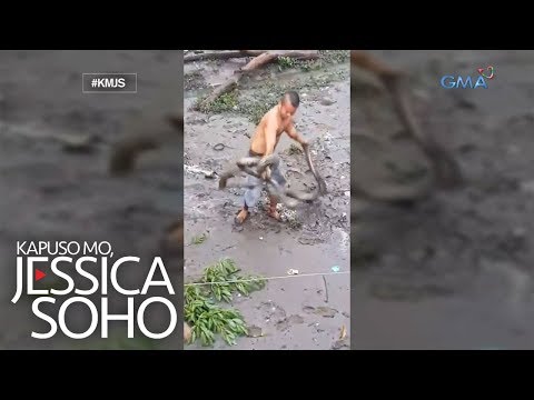 Kapuso Mo, Jessica Soho: Lalaki, hinuli ang dalawang malalaking sawa gamit ang kanyang mga kamay!