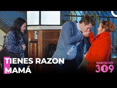 Nergis Y Nilüfer Se Disculpan Con Songül - Habitación 309