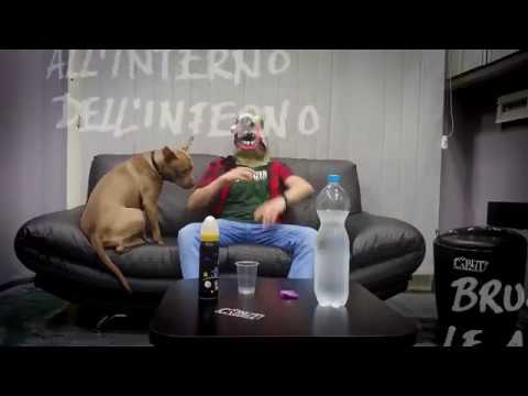 MC CAVALLO - Il Ritorno Del Cavallo Vivente (Prod. Mc Cavallo)