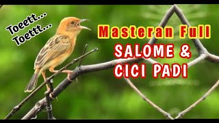 Download lagu Masteran Full Salome Cici Padi Bongkar Suara Tooet... mp3
