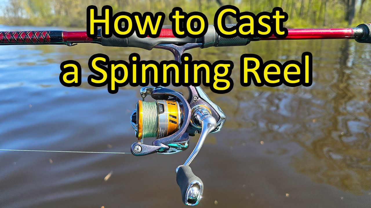 How to Cast and Use a Fishing Rod for Beginners - Open Faced Spinning Reel
