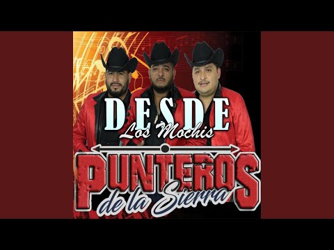 Demetrio el Asaltante