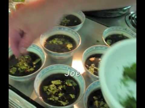 download lagu mp3 mp4 Dim Sum Portland Maine, download lagu Dim Sum Portland Maine gratis, unduh video klip Dim Sum Portland Maine