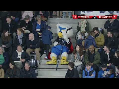 ⏯ | 𝗛𝗶𝗴𝗵𝗹𝗶𝗴𝗵𝘁𝘀 - 1/4 FINALE - 08.03.2024 Les Ducs d'Angers 🆚 Les Pionniers de Chamonix