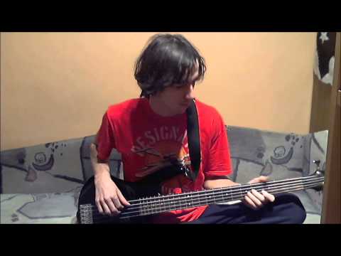 David Bowie - Looking for water (bass cover) video thumbnail