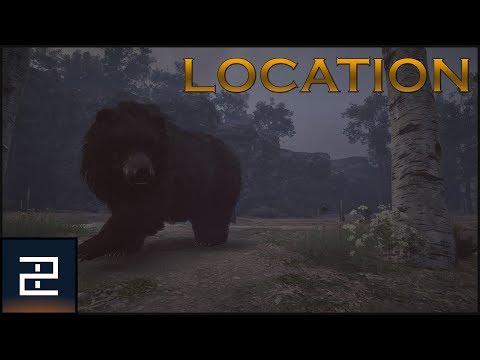 Assassin's Creed Odyssey | Kallisto the Bear | LEGENDARY Location