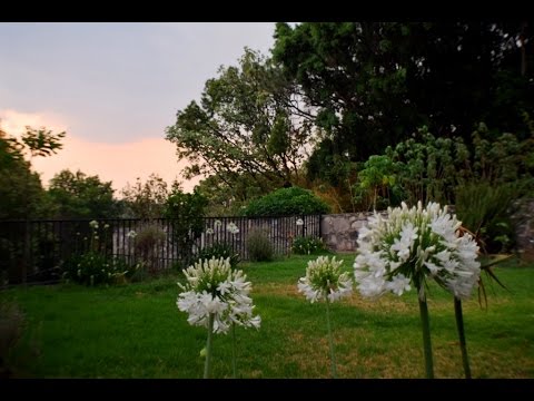 Residencia con vista al bosque de la primavera Pinar de la Venta
