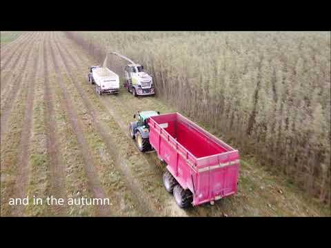 SRC header HSAB MK VI for Claas Jaguar