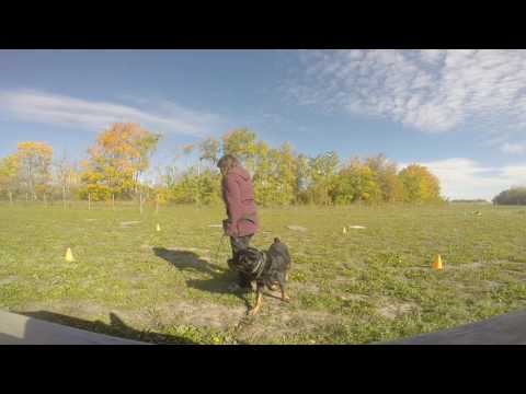 Foundation yield to leash pressure- Jaydee