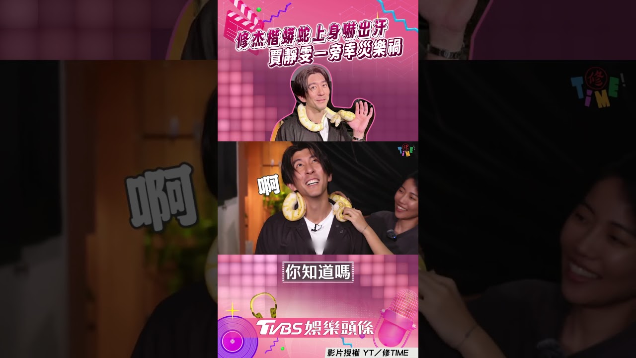 影音／修杰楷蟒蛇上身嚇出全身汗　賈靜雯幸災樂禍喊：可以養嗎