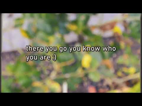 flowers by Alex dreams (remix)