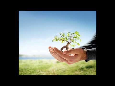 Printre lacrimi (negativ)