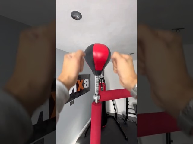 Vídeo relacionado con F Fityle Juego de 2 Espadas de Espuma para Entrenamiento, Herramientas Acolchadas de, Palos de Entrenamiento Antideslizantes para niños y Adultos, 85 Cm