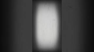 Zee the prophet Man Down