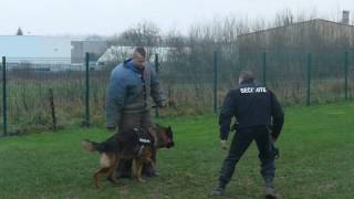 preview picture of video 'Attaque de chien à Neufchâteau'