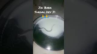 Download lagu Naag Devta Ji Short !! BABA SURGAL DEV JI KI KARAK youTube · JAI BABA SIDH GORIA NATH mp3