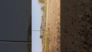  Residential Plot for Sale in Rewasan, Nuh