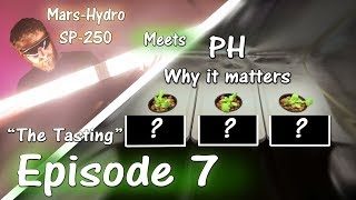 Growing Peppers at Different PH Levels | Mars Hydro SP 250 | Ep. 7 "The Tasting"