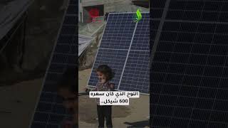 الألواح الشمسية قشة نجاة ... 