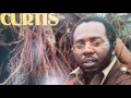 CURTIS MAYFIELD.HEARTBEAT