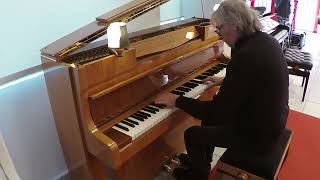 Schimmel Chippendale Klavier Modell C109 mit Lampen