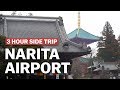 3 Hour Side Trip from Narita Airport, Naritasan Shinshoji Temple | japan-guide.com