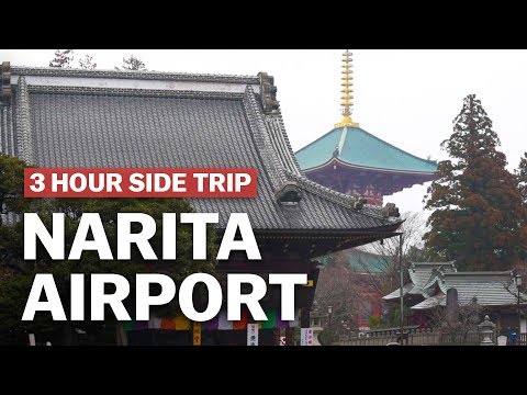 成田アイポートから3時間の寄り道、成田山新勝寺｜japan-guide.com (3 Hour Side Trip from Narita Aiport, Naritasan Shinshoji Temple | japan-guide.com)