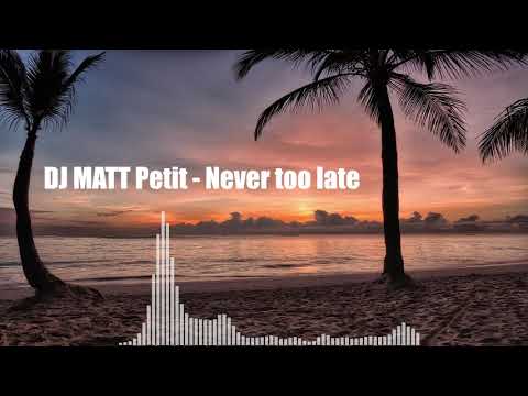 DJ MATT Petit - Never too late