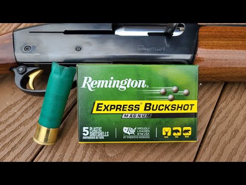 Impressive! Remington Express Magnum 3" 10 Pellet 000 Buckshot Test W/ 11-87 & Stock Full Choke